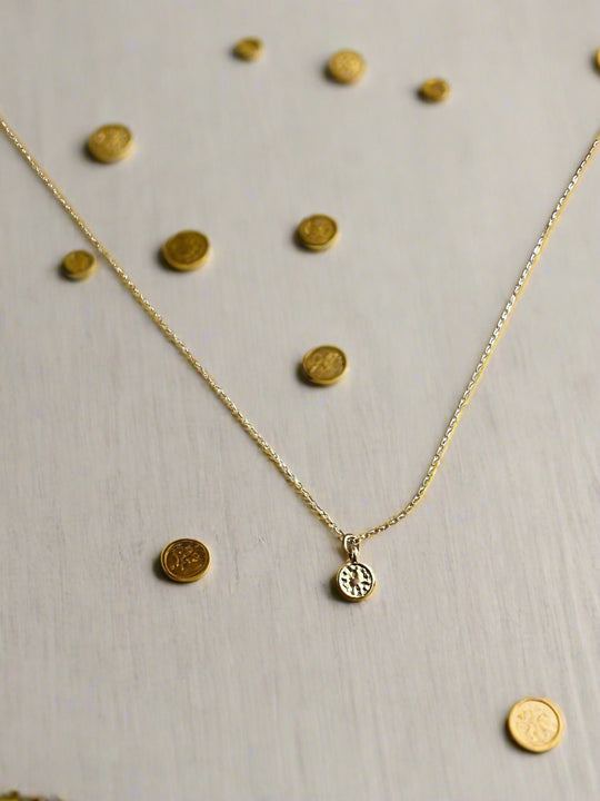 14K Gold Fill Coin Medallion Charm Necklace