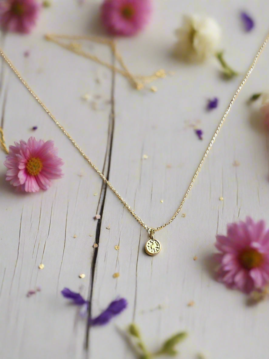 14K Gold Fill Coin Medallion Charm Necklace