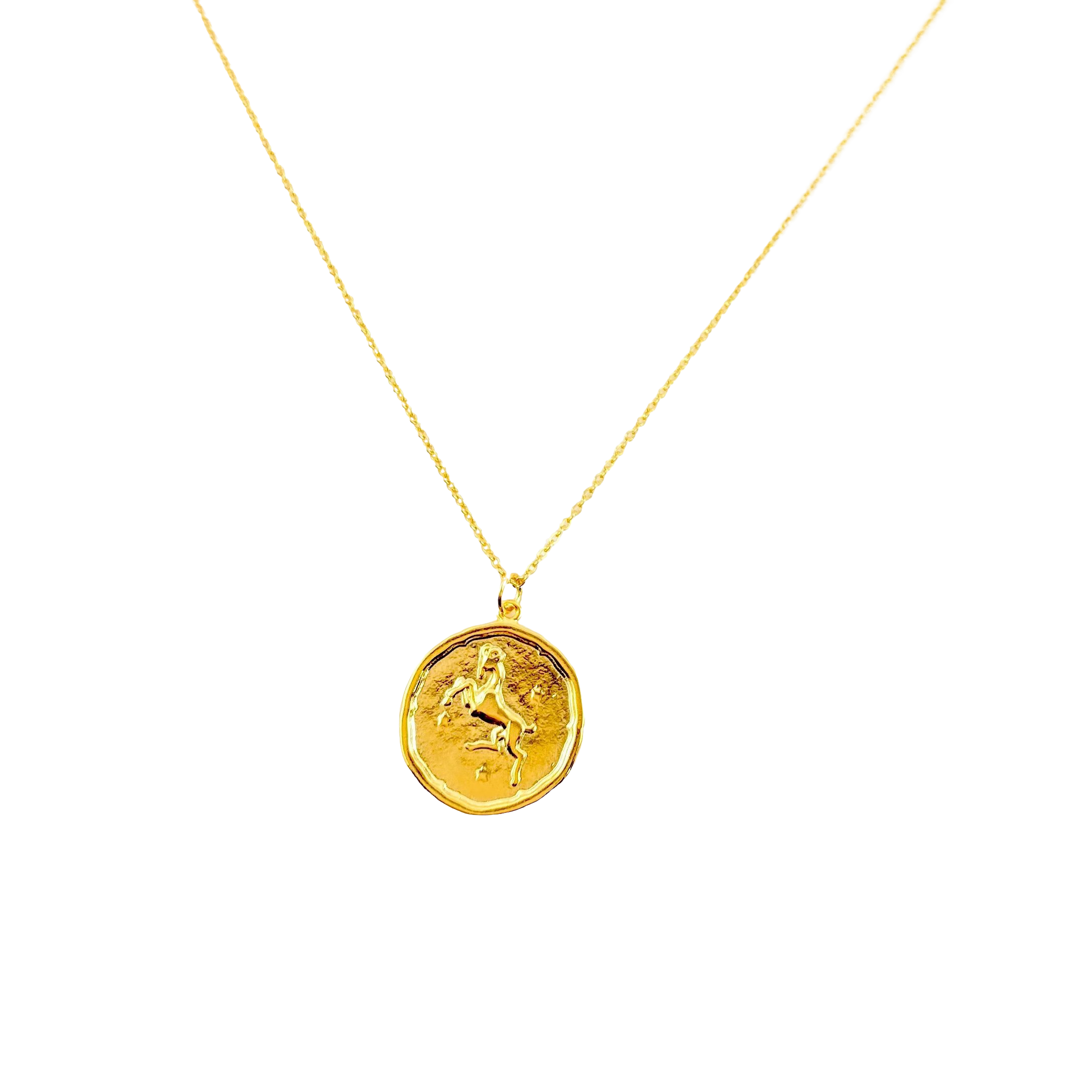 Aries Zodiac Sign Gold Necklace, this hand crafted Aries Zodiac Sign Necklace features a 14K gold-filled chain and an 18K vermeil gold charm.
