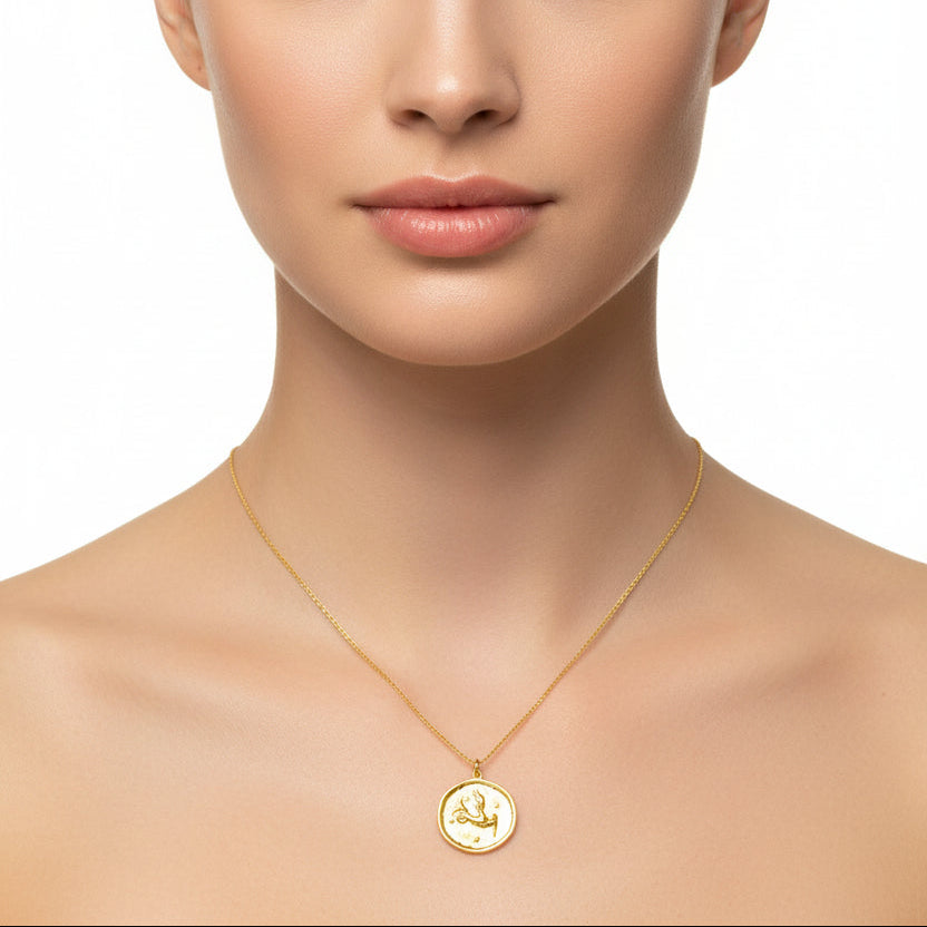 Capricorn Zodiac Sign Gold Necklace, this hand crafted Capricorn Zodiac Disk Necklace features a 14K gold-filled chain and an 18K vermeil gold charm.