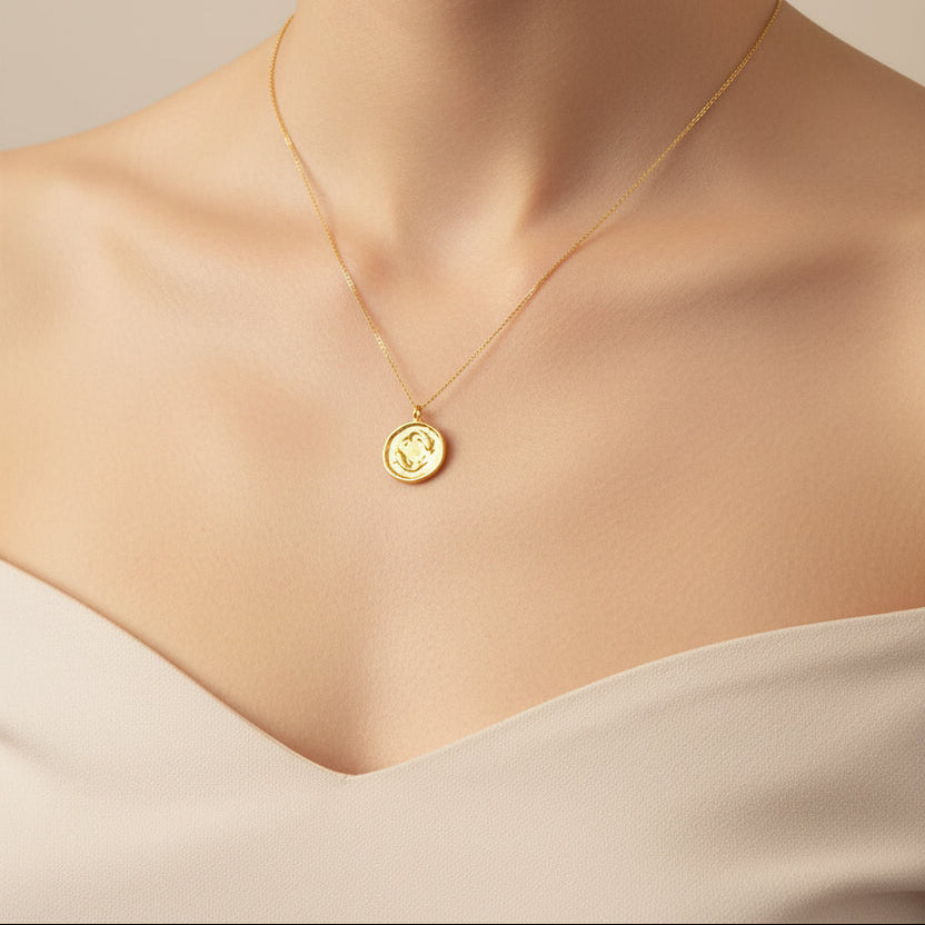 Pisces Zodiac Sign Gold Necklace, this hand crafted Pisces Zodiac Sign Necklace features a 14K gold-filled chain and an 18K vermeil gold charm