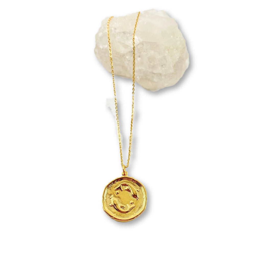 Pisces Zodiac Gold Charm Necklace, Elevate your style and showcase Pisces Zodiac Sign Gold Necklace, this hand crafted Pisces Zodiac Sign Necklace features a 14K gold-filled chain and an 18K vermeil gold charm astrological sign with our Pisces Zodiac Disk 14K Gold Necklace. H