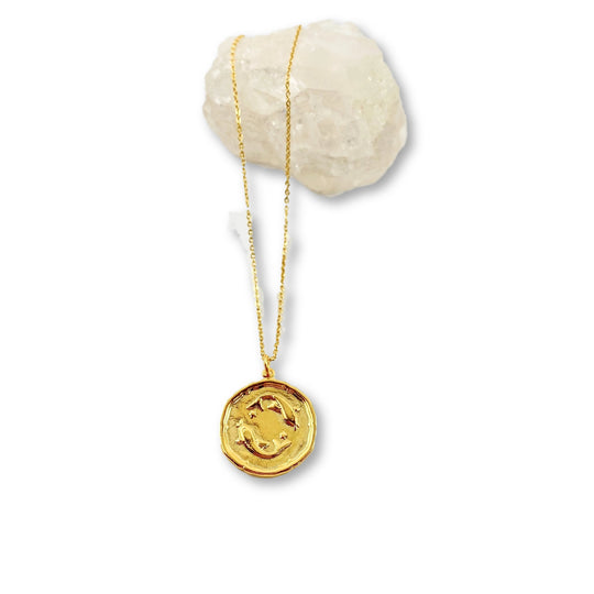 Pisces Zodiac Gold Charm Necklace, Elevate your style and showcase Pisces Zodiac Sign Gold Necklace, this hand crafted Pisces Zodiac Sign Necklace features a 14K gold-filled chain and an 18K vermeil gold charm astrological sign with our Pisces Zodiac Disk 14K Gold Necklace. H