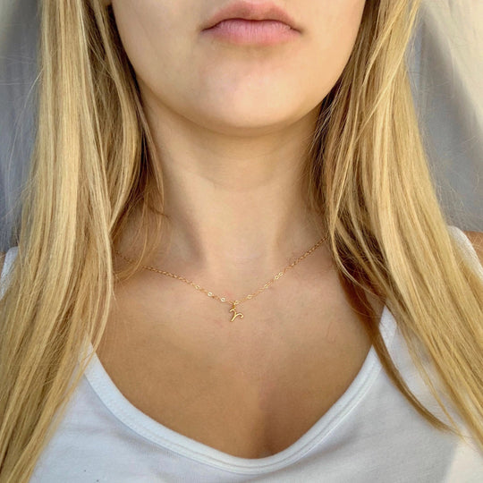 Aries Zodiac Symbol Gold Necklace, Celebrate your Aries spirit with this tiny zodiac symbol charm necklace, a petite 18K vermeil gold zodiac symbol charm