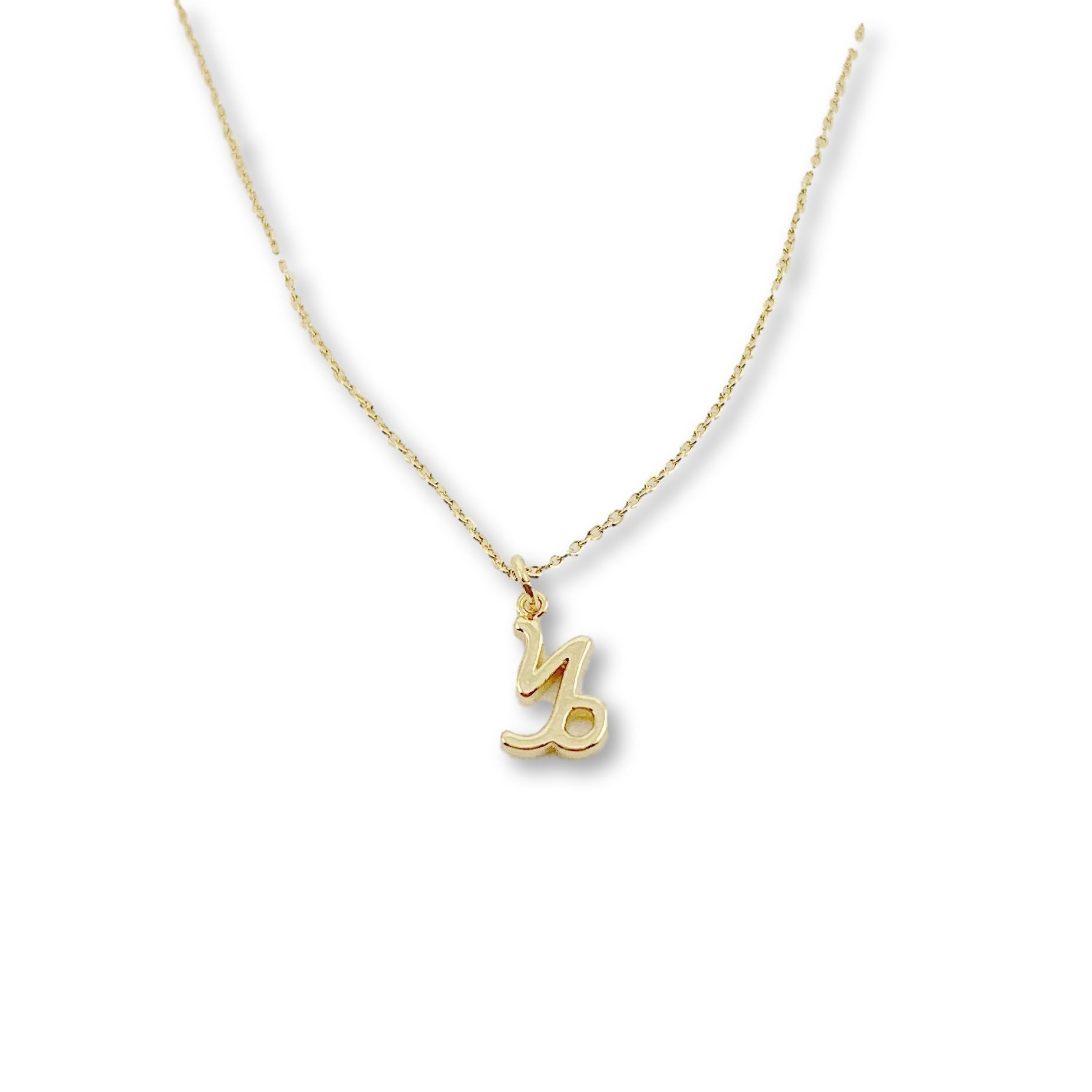 Capricorn Zodiac Symbol Gold Necklace, Celebrate your Capricorn spirit with this tiny zodiac symbol charm necklace, a petite 18K vermeil gold zodiac symbol