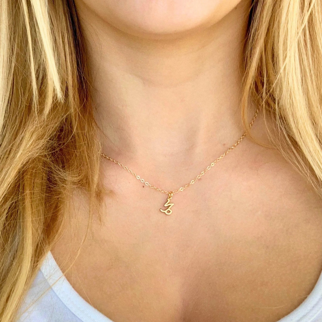 Capricorn Zodiac Symbol Gold Necklace, Celebrate your Capricorn spirit with this tiny zodiac symbol charm necklace, a petite 18K vermeil gold zodiac symbol