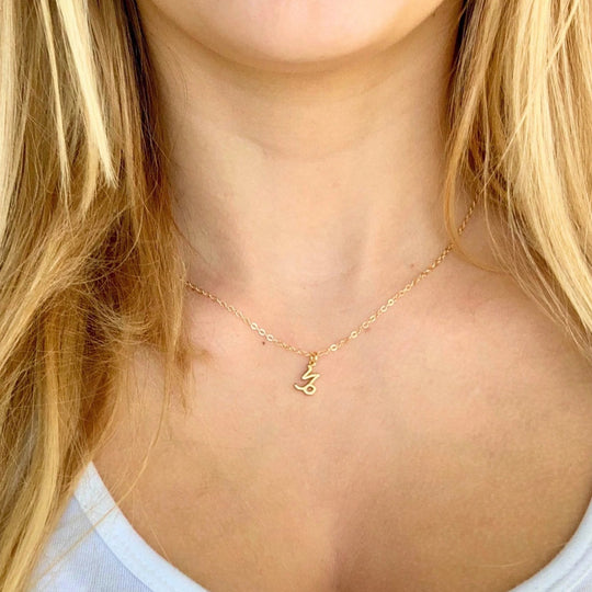 Capricorn Zodiac Symbol Gold Necklace, Celebrate your Capricorn spirit with this tiny zodiac symbol charm necklace, a petite 18K vermeil gold zodiac symbol