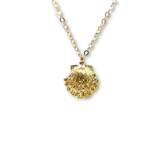 14K Gold Clam Shell Mermaid Charm Necklace, our dainty gold mermaid shell necklace has a small textured gold clam shell charm on a 14k gold-filled chain, a petite & sweet minimalist Summer charm necklace.